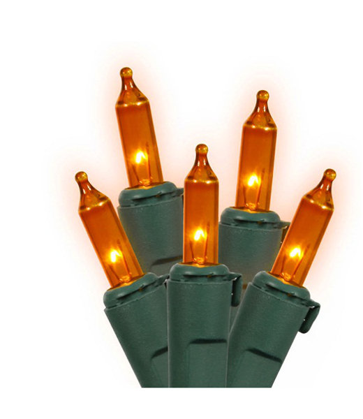 The Holiday Aisle® 50Count Commercial Grade Mini Christmas Light Set & Reviews Wayfair Canada